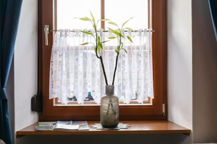 Vanek Apartment Kotschach-Mauthen Extérieur photo